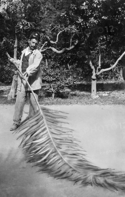 europe, italie, ligurie, san remo, éboueur au travail, 1900 1910
