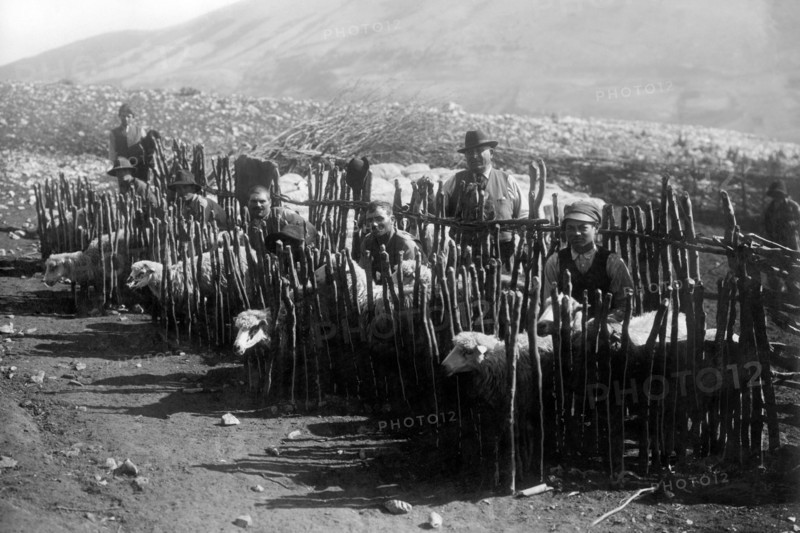 europe, italie, abruzzes, pescocostanzo, contrada mezzamorra, troupeau clôturé, années 1920