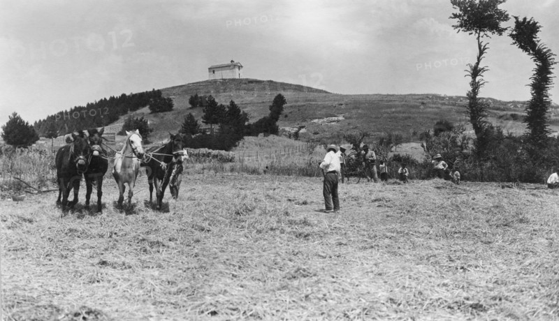 battage, campobasso, molise, italie 1920 1930