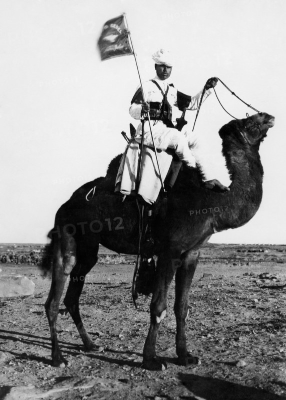 afrique, libye, le porte-étendard de la colonne graziani, 1920 1930