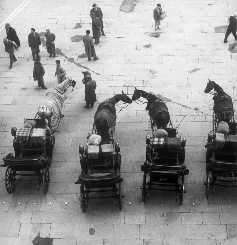 cabmen, piazza della signoria, florence, toscane, italie, 1961