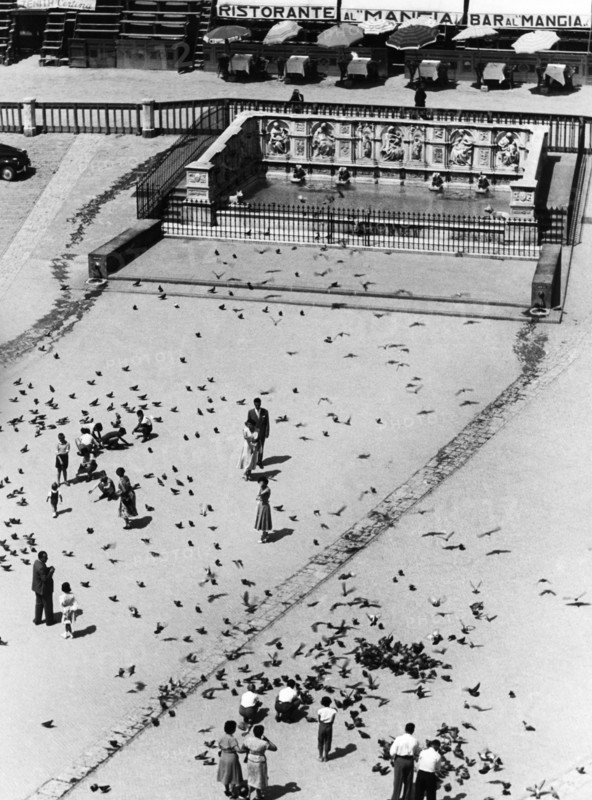 fontaine de gaia, piazza del campo, sienne, toscane, italie, 1954