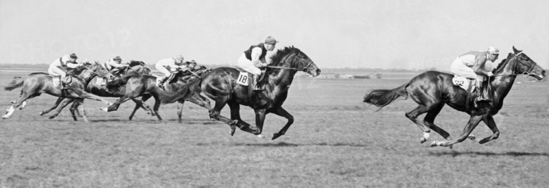 course de chevaux en angleterre, 1954