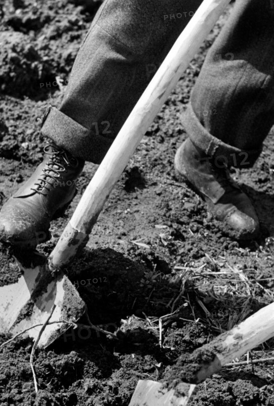 jardins de la guerre, 1942