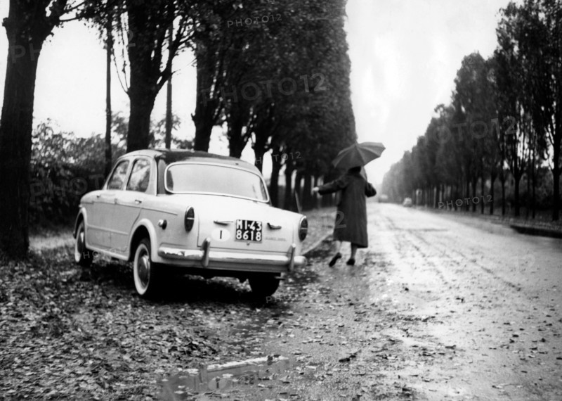 dérapage au bord d'une avenue bordée d'arbres, 1962