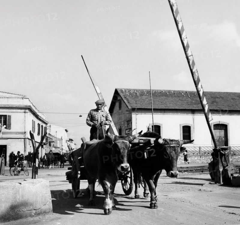passage à niveau sur la ligne olbia-sassari, 1962