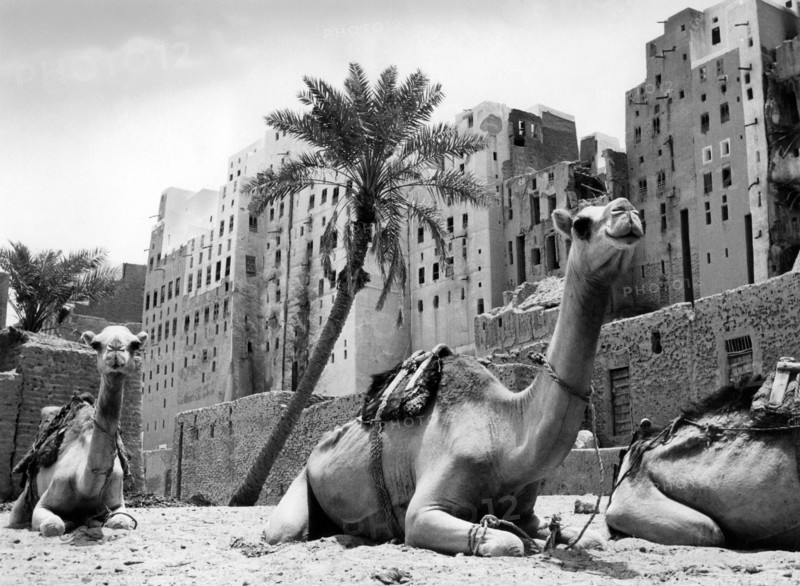 Asia. Yemen. Aden. Shibam. Part Of The Circle Of Walls. 1957