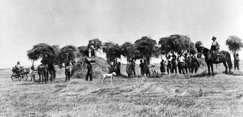 Italy. Tuscany. A Group Of Peasants After The Harvest. 1910-20