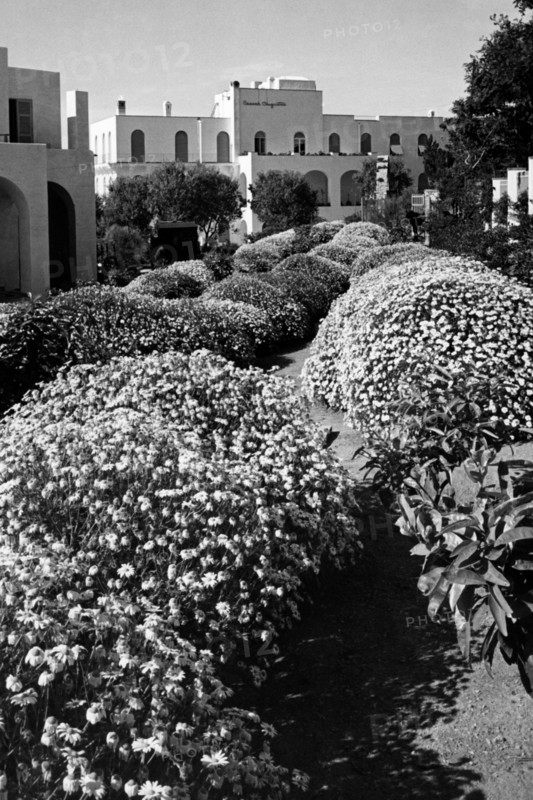 Italy. Campania. Capri Island. View Of Anacapri. 1955