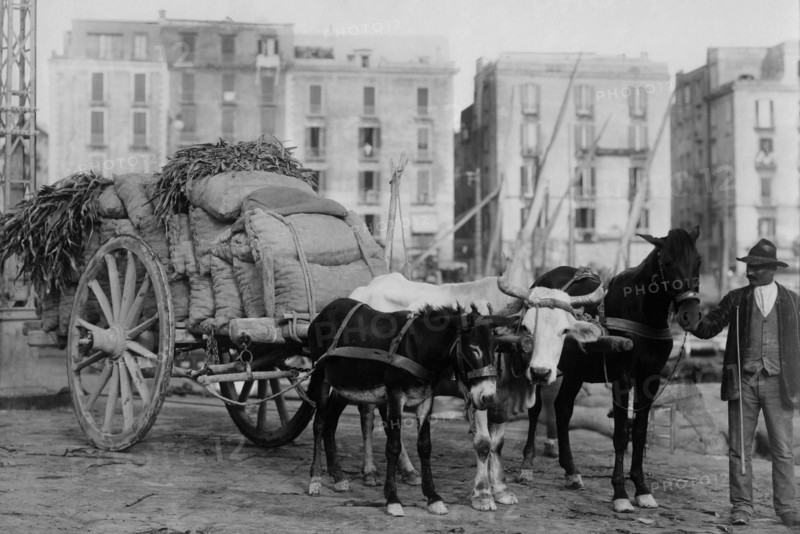 Cart. Naples. Campania. Italy 1920 1930