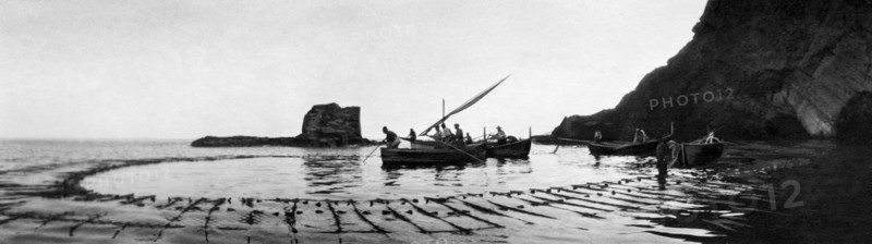 Fishing Mullets. Procida 1910-20