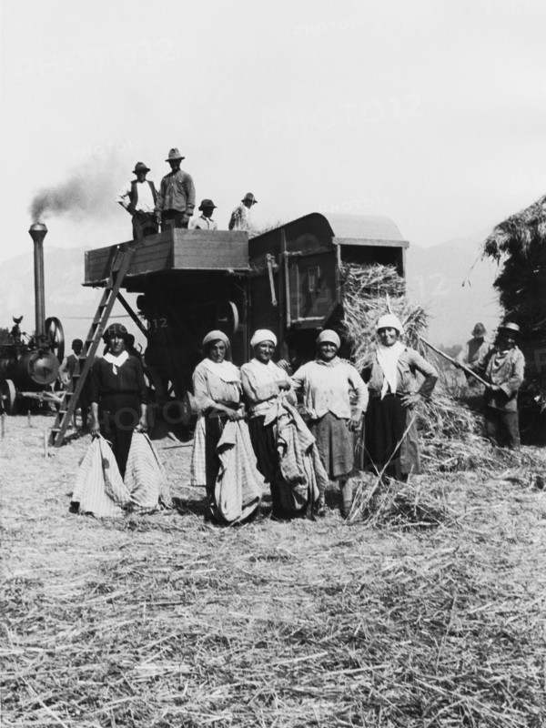 Italy. Campania. Presenzano. Farmer. 1930