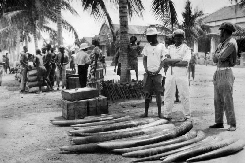 On The Banks Of Kasai River. Belgian Congo. Africa 1927 1930