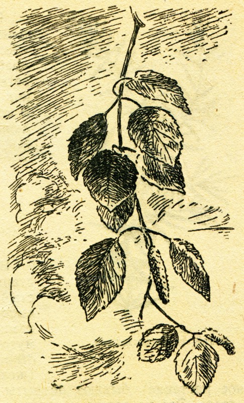 In the wake of Robinson Crusoe.