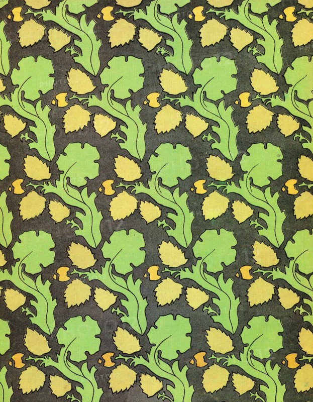 Back cover with floral and plant designs.