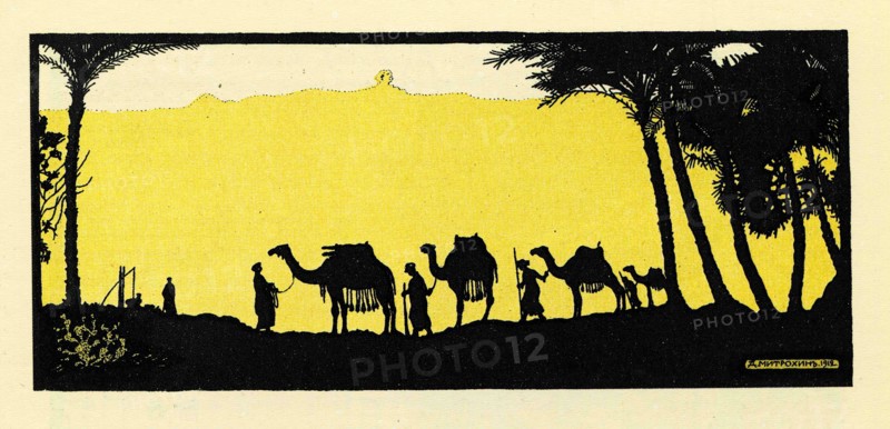 Merchant caravan of camels in oasis.