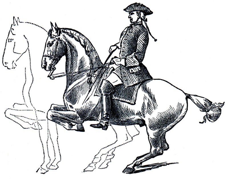 Graduate School of Riding - curvet, dotted line denotes the position after the jump and its repetition.