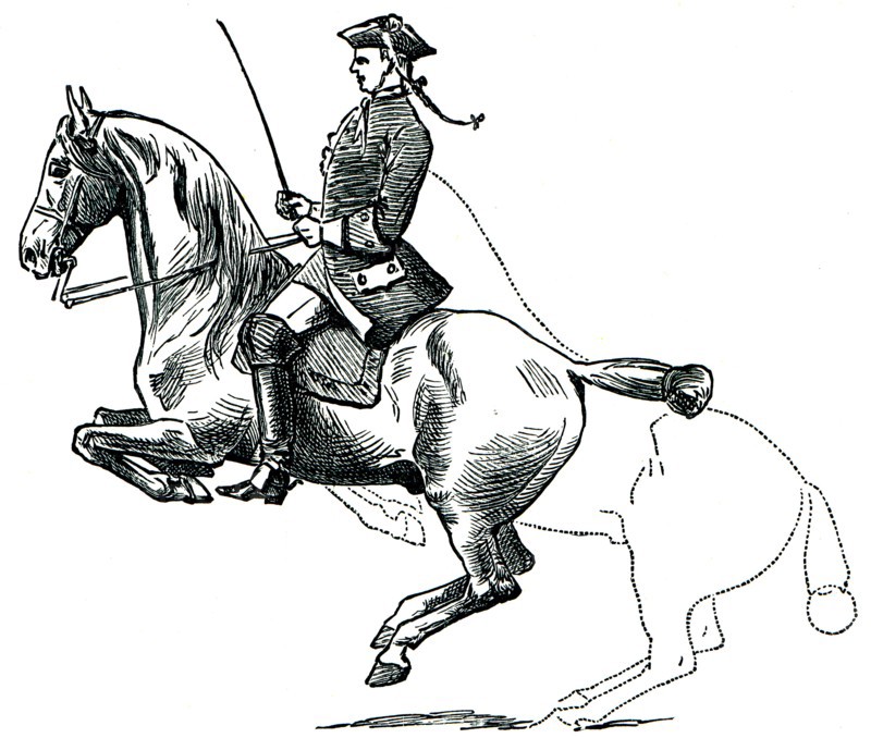 Graduate School of Riding - Lansada, dotted line denotes the position of a horse before a jump.