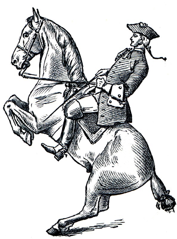 Graduate School of Riding - Pezada.