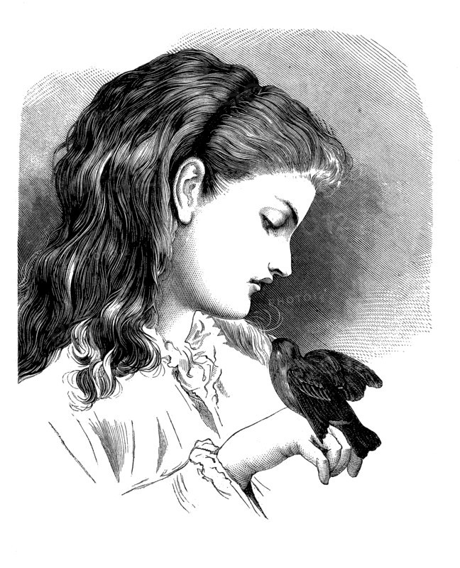 Girl has a small bird on her hand
