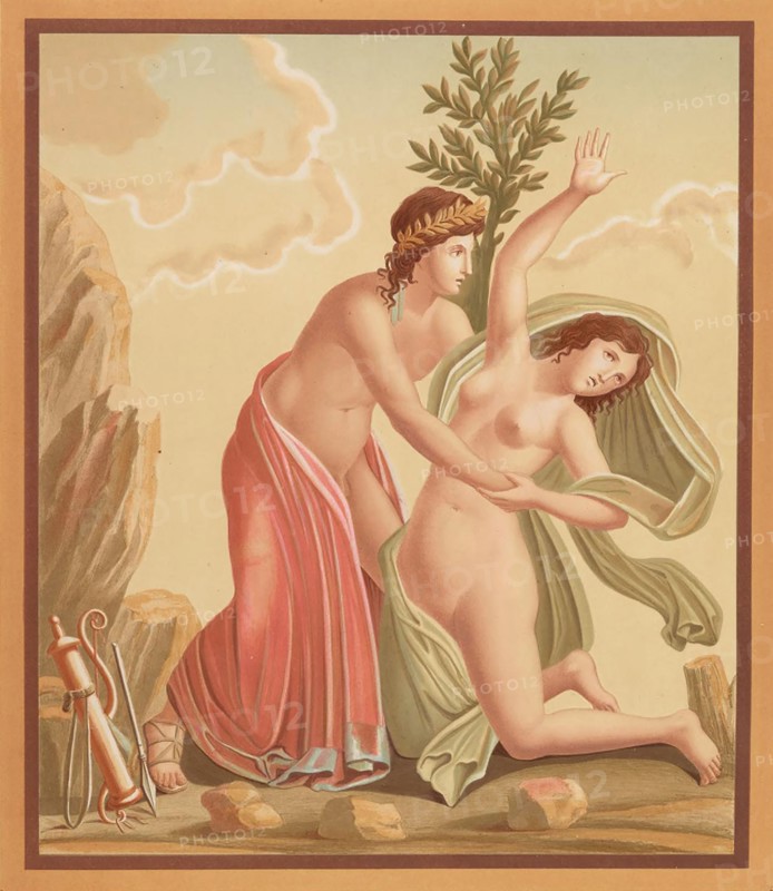 Apollo and Daphne