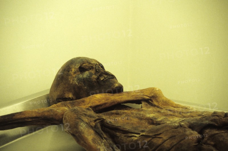 Alto adige archaeological museum, otzi the iceman.