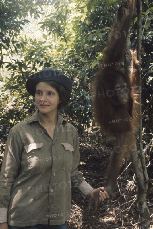 Birute Galdikas. 1965