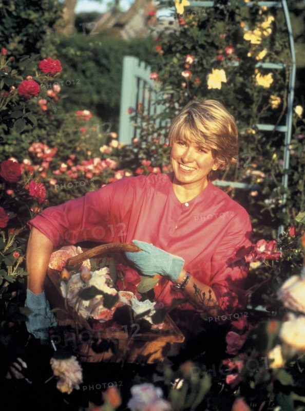 Martha Stewart