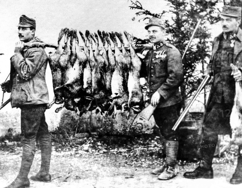 Supply Of Austrian Troops.