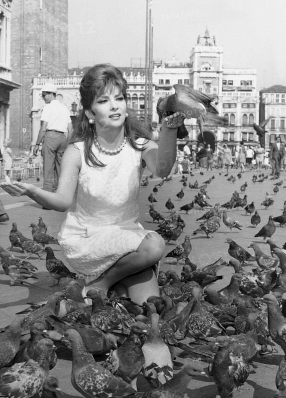 Gina lollobrigida