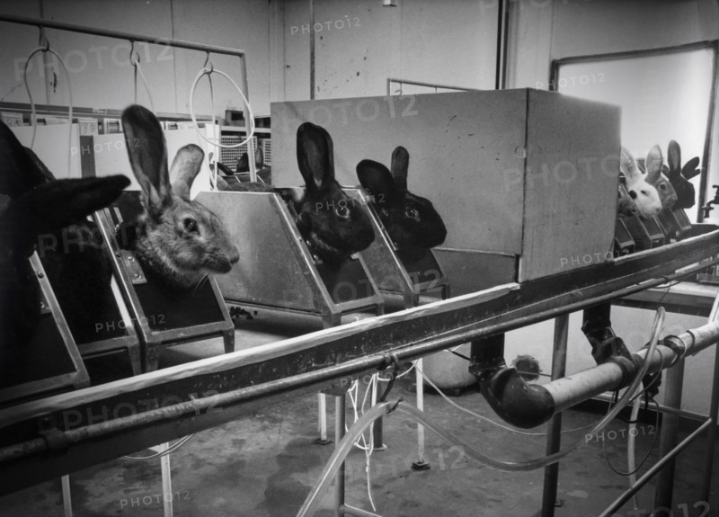 Biomedicine laboratory, sorin, saluggia, italy, 70's