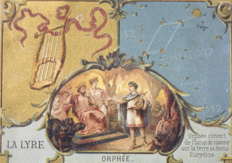 The lyre, constellation