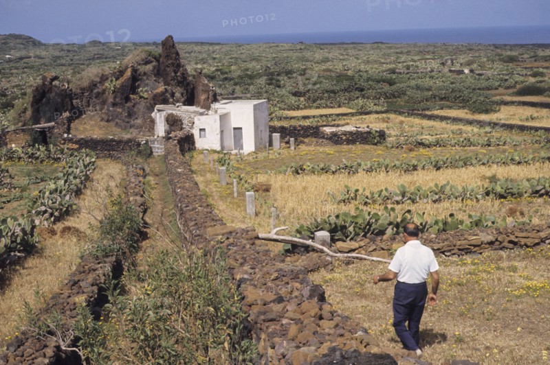 Farmer, linosa, italy