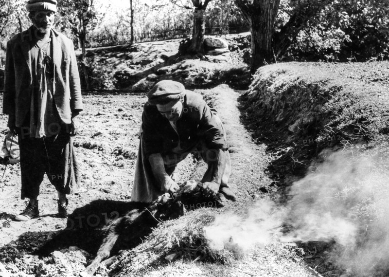 Kafirs, northern pakistan, sacrifice before the great Josci feast