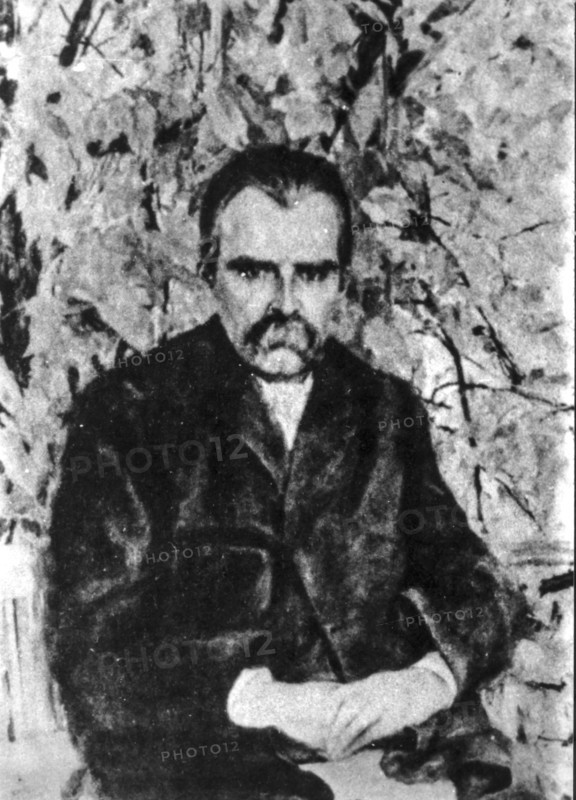 Friedrich wilhelm nietzsche, 1895