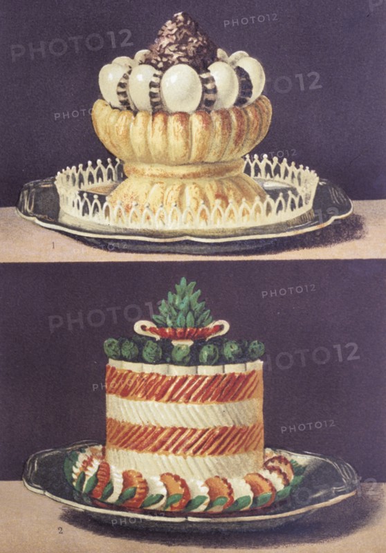 Illustration painted by marcel ronjat for the cookbook le livre de cuisine by the chef jules gouffe, 1867