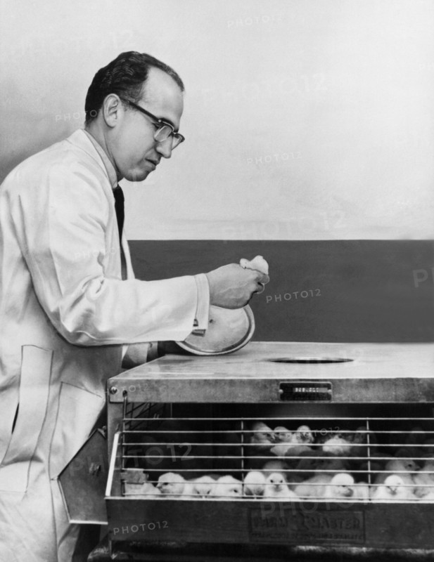 Dr. Jonas Salk At Work