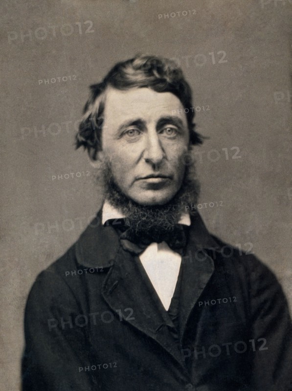 1856 Portrait of Henry Thoreau