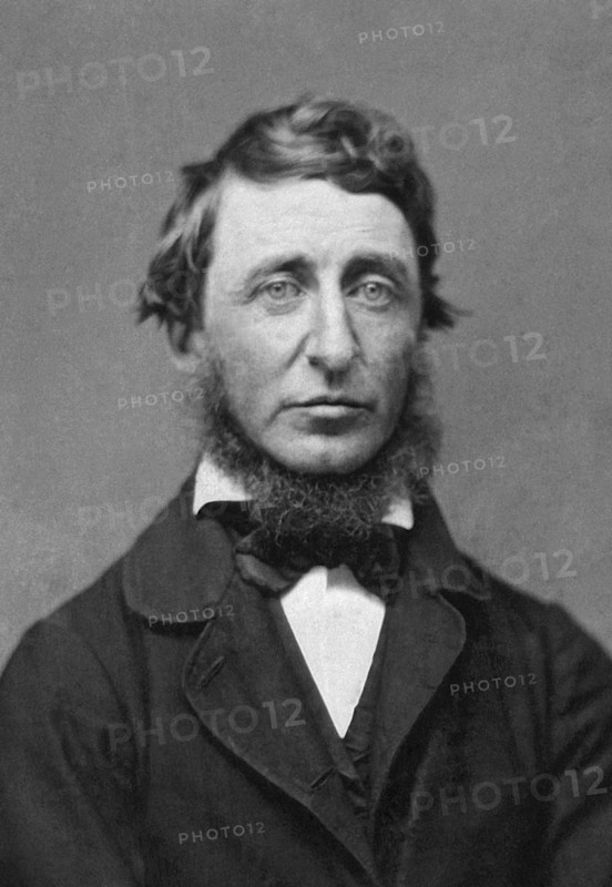 1856 Portrait of Henry Thoreau