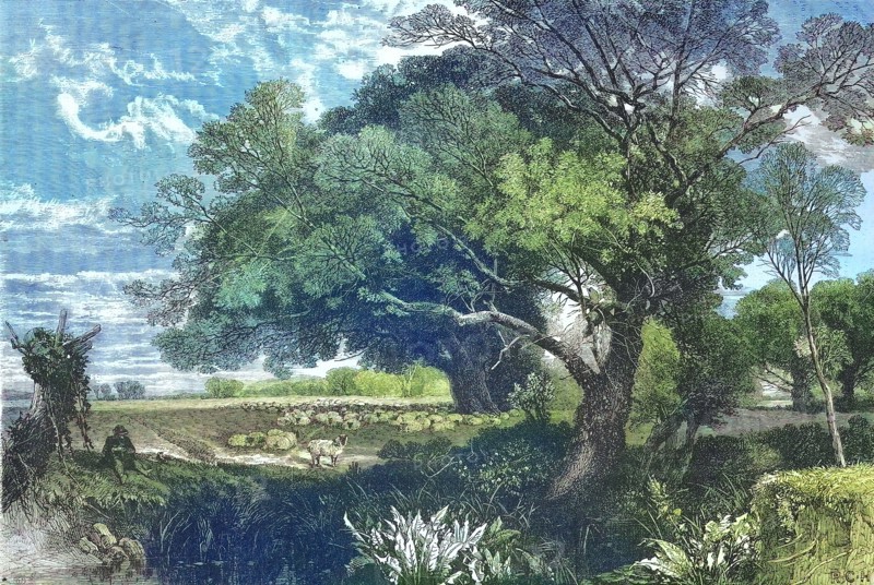 the countryside of Poitou in western France