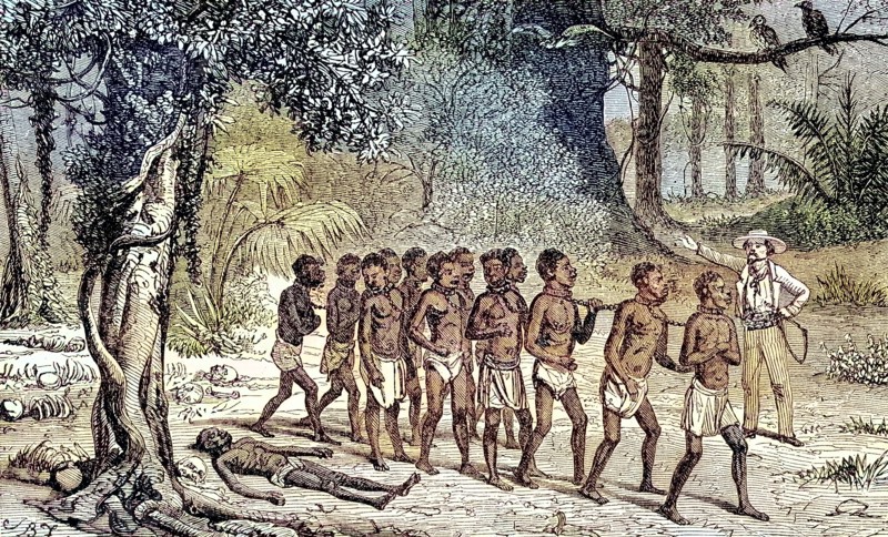 Slaves crossing a forest of the dead