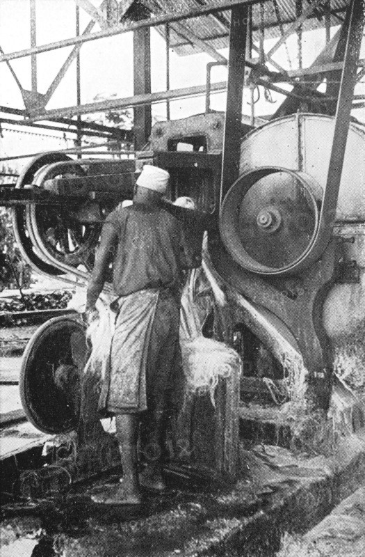 Sisal processing machine in German East