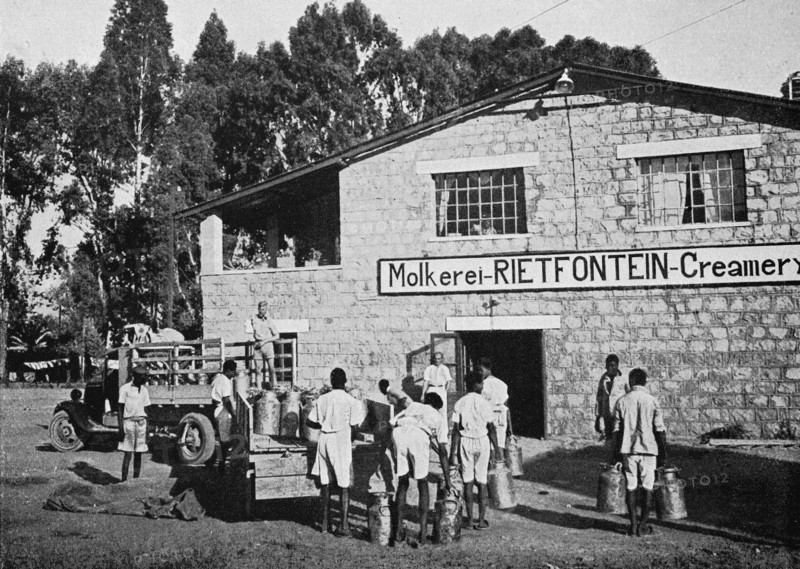 Dairy Rietfontain