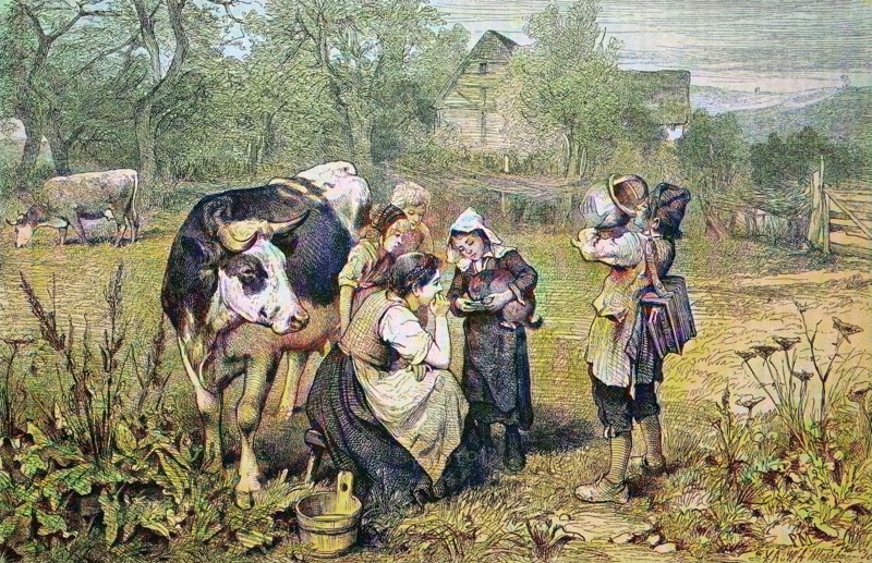 Savoyard children with cow