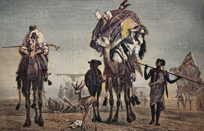 The wandering harem of a Bedouin in the desert