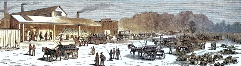 Thurber & Co cannery in Moorestown
