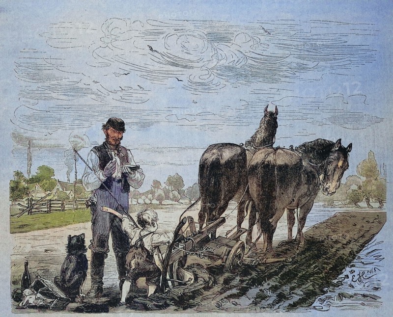 first attempt of the farmer boy to plow the field with the horse team and the plow