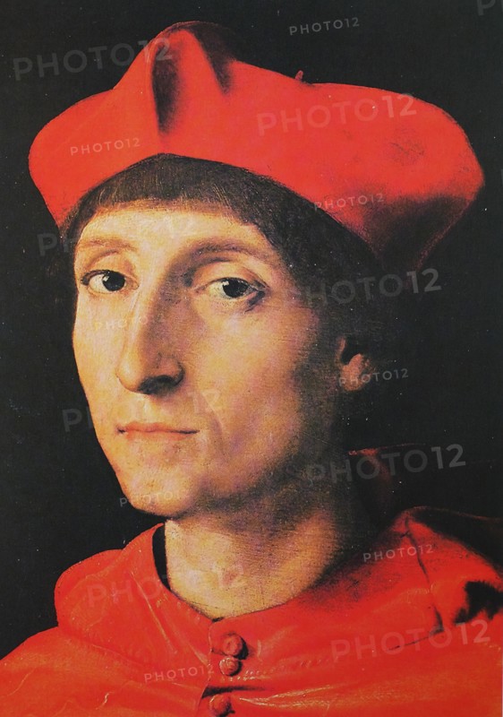 Portrait of a Cardinal