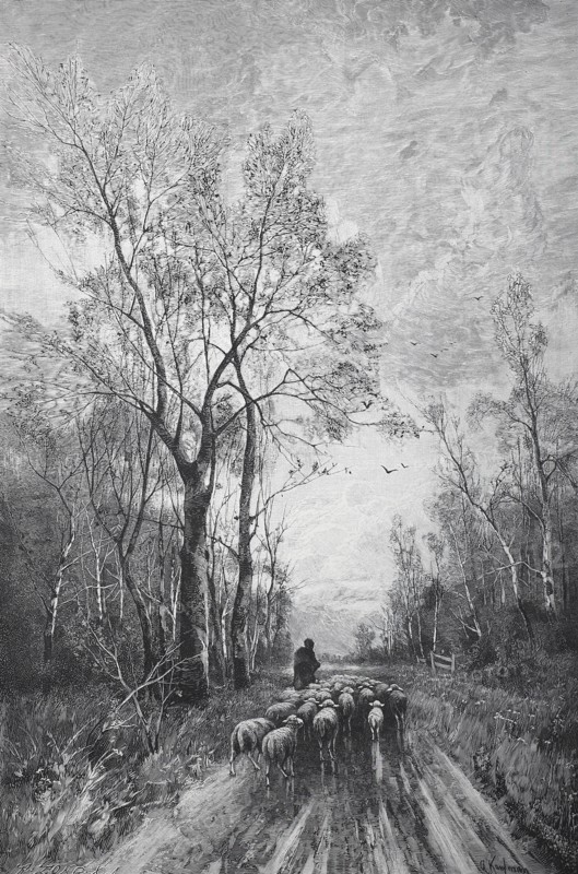 Shepherd With His Herd Is On The Way Home