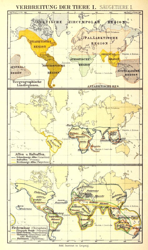 Distribution Of Animals According To Brehm'S Animal Life In The 19Th Century